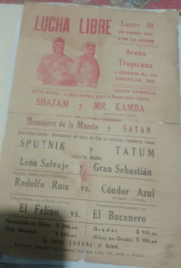 source: http://luchadb.com/posters/uploads/Rob_202601103/Rob_202601103_12.png