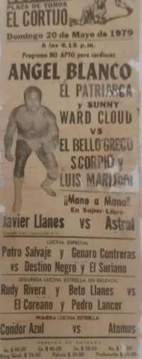 source: http://luchadb.com/posters/uploads/Rob_202601103/Rob_202601103_18.png