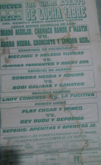 source: http://luchadb.com/posters/uploads/Rob_202601104/Rob_202601104_07.png