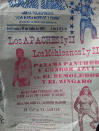 source: http://luchadb.com/posters/uploads/Rob_202601104/Rob_202601104_12.png