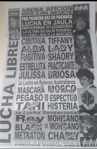 source: http://luchadb.com/posters/uploads/Rob_202601104/Rob_202601104_20.png