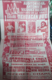 source: http://luchadb.com/posters/uploads/Rob_202601105/Rob_202601105_01.png