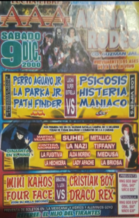 source: http://luchadb.com/posters/uploads/Rob_202601105/Rob_202601105_05.png