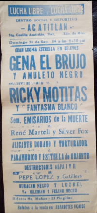 source: http://luchadb.com/posters/uploads/Rob_202601106/Rob_202601106_05.png