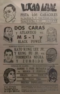 source: http://luchadb.com/posters/uploads/Rob_202601106/Rob_202601106_08.png