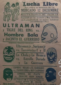 source: http://luchadb.com/posters/uploads/Rob_202601106/Rob_202601106_10.png