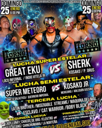 source: http://luchadb.com/posters/uploads/20260121A/20260121_14.png