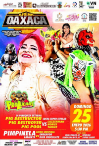 source: http://luchadb.com/posters/uploads/20260125D/20260125_11.png