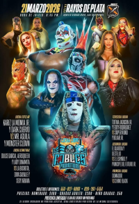 source: http://luchadb.com/posters/uploads/20260129A/20260129_14.png