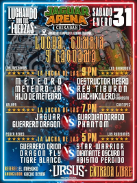 source: http://luchadb.com/posters/uploads/20260129C/20260129_15.png