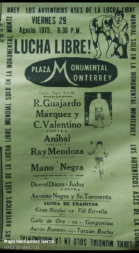 source: http://luchadb.com/posters/uploads/Rob_2026020401/Rob_2026020401_11.png