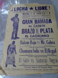 source: http://luchadb.com/posters/uploads/Rob_2026020401/Rob_2026020401_12.png