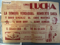 source: http://luchadb.com/posters/uploads/Rob_2026020401/Rob_2026020401_15.png