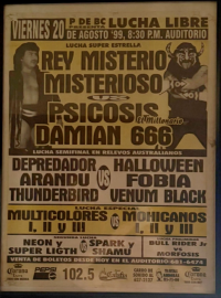 source: http://luchadb.com/posters/uploads/Rob_2026020401/Rob_2026020401_16.png