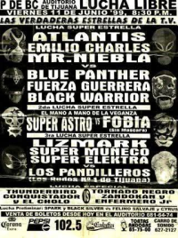 source: http://luchadb.com/posters/uploads/Rob_2026020402/Rob_2026020402_06.png