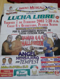 source: http://luchadb.com/posters/uploads/Rob_2026020403/Rob_2026020403_05.png