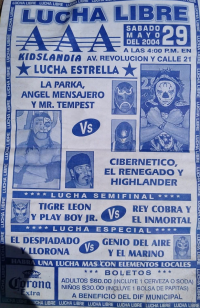 source: http://luchadb.com/posters/uploads/Rob_2026020403/Rob_2026020403_14.png