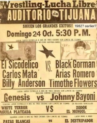 source: http://luchadb.com/posters/uploads/Rob_2026020403/Rob_2026020403_15.png