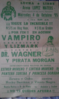 source: http://luchadb.com/posters/uploads/Rob_2026020403/Rob_2026020403_16.png