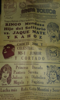 source: http://luchadb.com/posters/uploads/Rob_2026020404/Rob_2026020404_01.png