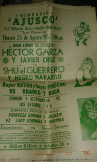 source: http://luchadb.com/posters/uploads/Rob_2026020404/Rob_2026020404_04.png