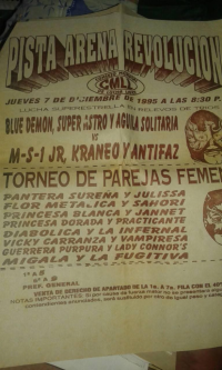 source: http://luchadb.com/posters/uploads/Rob_2026020404/Rob_2026020404_06.png