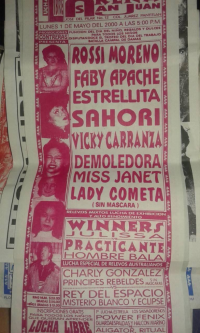 source: http://luchadb.com/posters/uploads/Rob_2026020404/Rob_2026020404_12.png