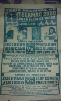 source: http://luchadb.com/posters/uploads/Rob_2026020404/Rob_2026020404_14.png