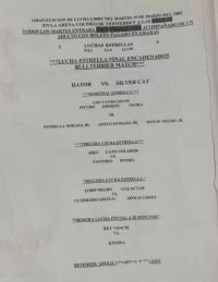 source: http://luchadb.com/posters/uploads/Rob_2026020405/Rob_2026020405_11.png