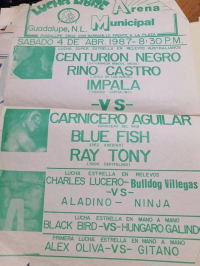 source: http://luchadb.com/posters/uploads/Rob_2026020406/Rob_2026020406_06.png