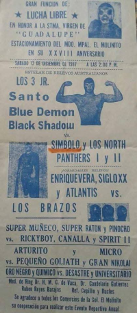 source: http://luchadb.com/posters/uploads/Rob_2026020406/Rob_2026020406_07.png