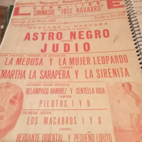 source: http://luchadb.com/posters/uploads/Rob_2026020407/Rob_2026020407_13.png