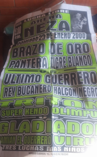 source: http://luchadb.com/posters/uploads/Rob_2026020407/Rob_2026020407_17.png