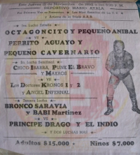 source: http://luchadb.com/posters/uploads/Rob_2026020408/Rob_2026020408_07.png