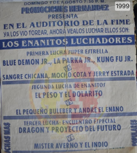 source: http://luchadb.com/posters/uploads/Rob_2026020408/Rob_2026020408_09.png