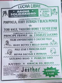 source: http://luchadb.com/posters/uploads/Rob_2026020408/Rob_2026020408_14.png