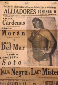 source: http://luchadb.com/posters/uploads/Rob_2026020408/Rob_2026020408_17.png