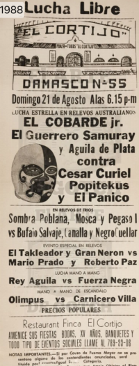 source: http://luchadb.com/posters/uploads/Rob_2026020409/Rob_2026020409_12.png