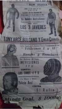 source: http://luchadb.com/posters/uploads/Rob_2026020409/Rob_2026020409_07.png