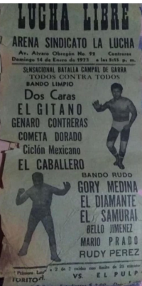 source: http://luchadb.com/posters/uploads/Rob_2026020409/Rob_2026020409_01.png