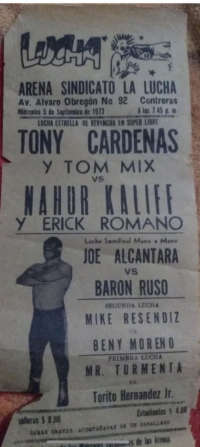 source: http://luchadb.com/posters/uploads/Rob_2026020409/Rob_2026020409_03.png