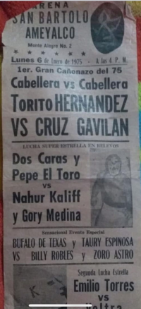 source: http://luchadb.com/posters/uploads/Rob_2026020409/Rob_2026020409_05.png