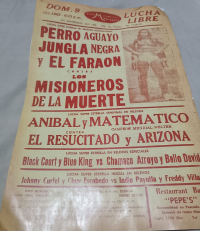 source: http://luchadb.com/posters/uploads/Rob_2026020410/Rob_2026020410_03.png