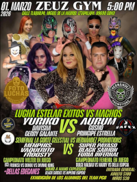 source: http://luchadb.com/posters/uploads/20260203B/20260203_02.png