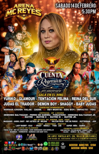 source: http://luchadb.com/posters/uploads/2026020801/20260208_01.png