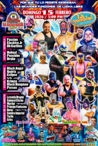 source: http://luchadb.com/posters/uploads/2026020802/20260208_20.png