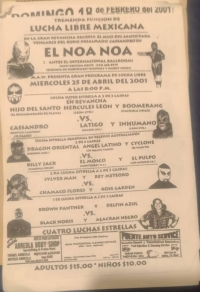 source: http://luchadb.com/posters/uploads/Rob_2026020411/Rob_2026020411_01.png