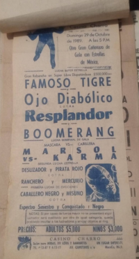 source: http://luchadb.com/posters/uploads/Rob_2026020411/Rob_2026020411_03.png