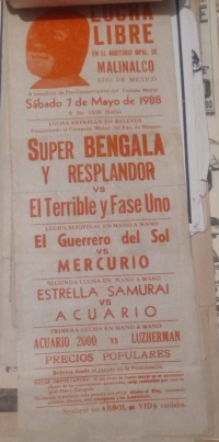 source: http://luchadb.com/posters/uploads/Rob_2026020411/Rob_2026020411_05.png