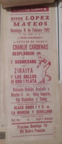 source: http://luchadb.com/posters/uploads/Rob_2026020411/Rob_2026020411_06.png